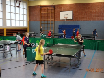 Mini Regionsentscheid 2017